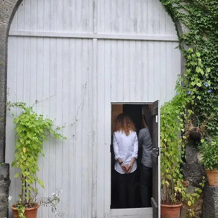 Domaine De Paguy