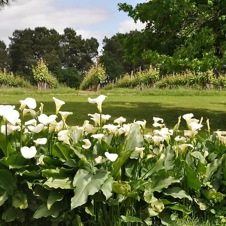 Bed & Breakfast Domaine De Paguy *
