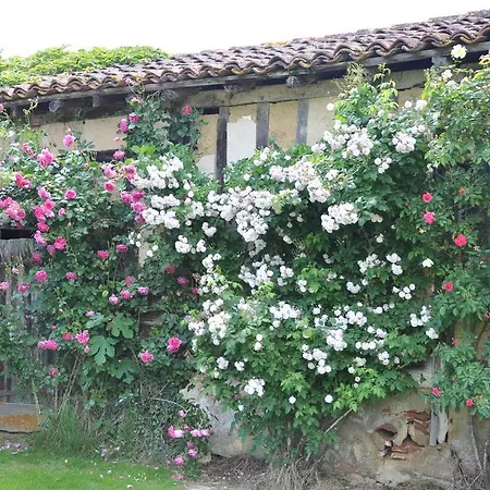 Bed & Breakfast Domaine De Paguy Betbezer