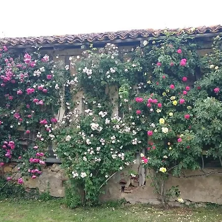 Domaine De Paguy
