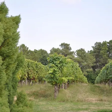 Alojamento de Acomodação e Pequeno-almoço Domaine De Paguy Betbezer