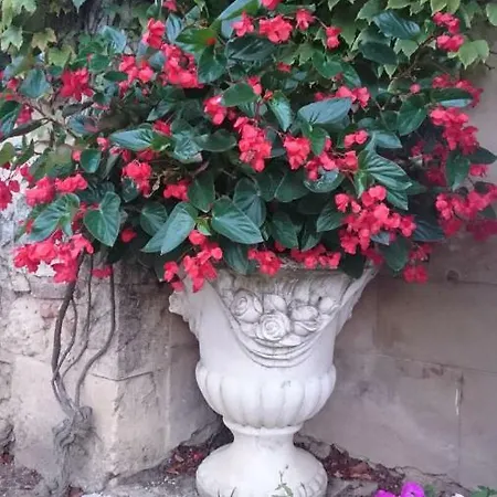Bed & Breakfast Domaine De Paguy